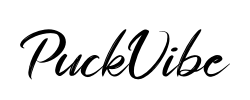 PuckVibe - logo